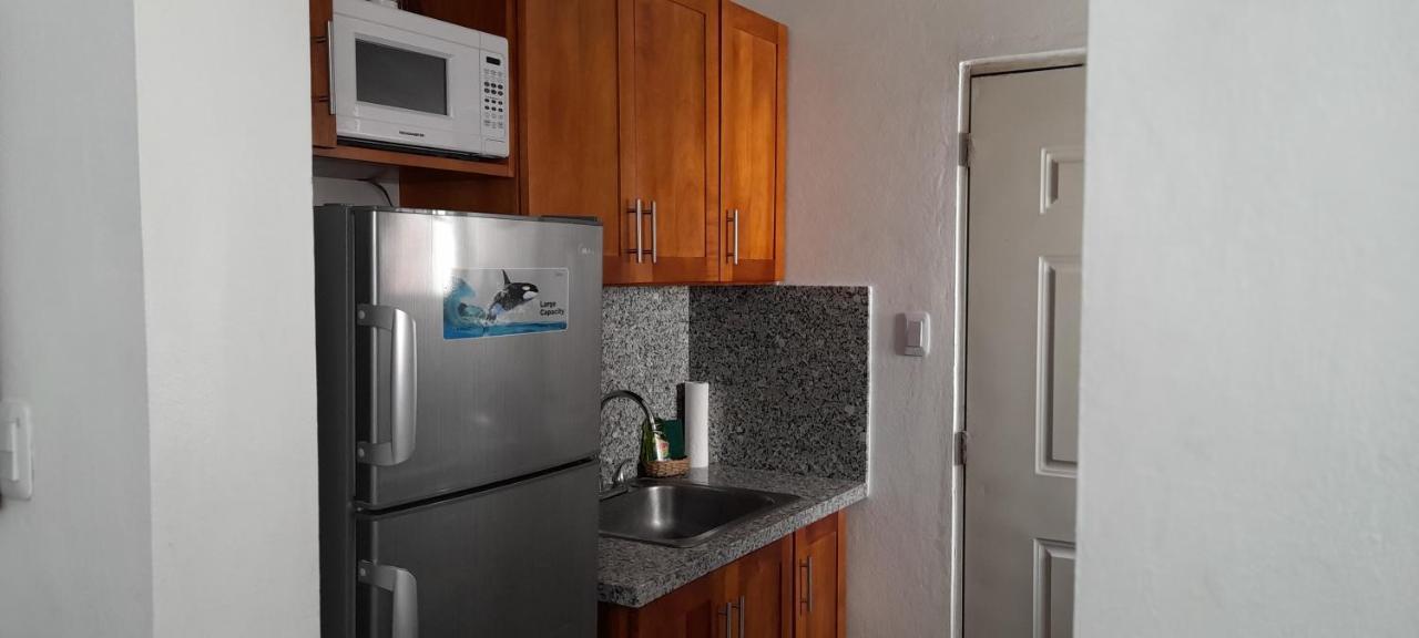 شقة Residencial Palmas De Gurabo سانتياغو دي لوس كاباليروس المظهر الخارجي الصورة